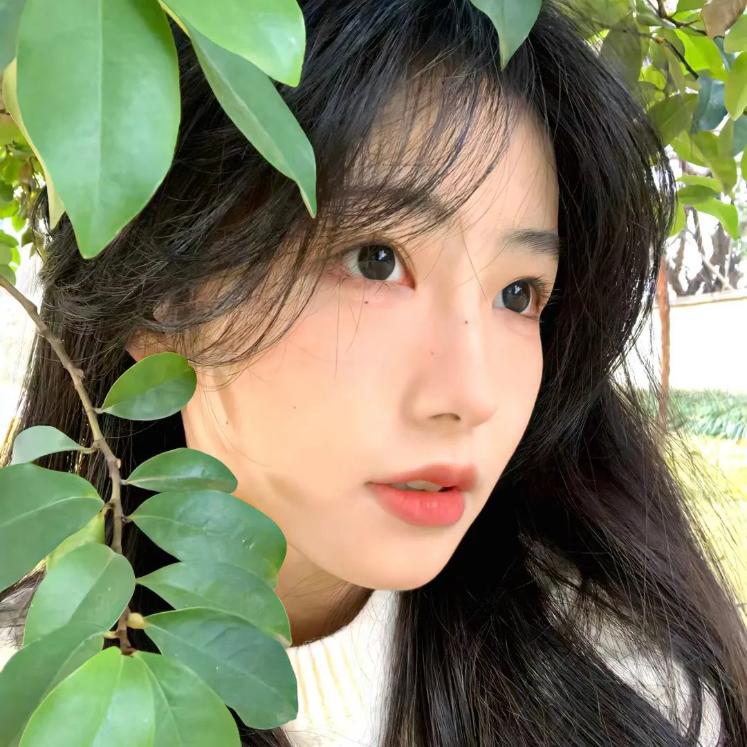 家有大姐 在线观看